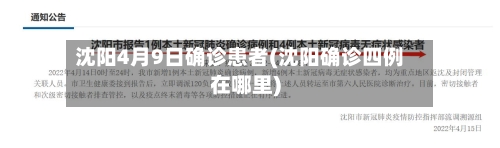 沈阳4月9日确诊患者(沈阳确诊四例在哪里)-第3张图片