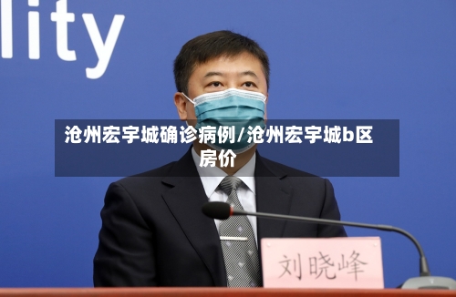 沧州宏宇城确诊病例/沧州宏宇城b区房价