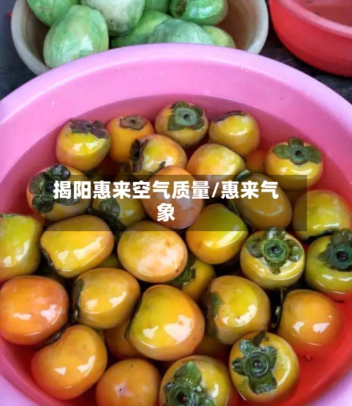 揭阳惠来空气质量/惠来气象