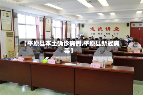 【平原县本土确诊病例,平原县新冠病毒】-第2张图片
