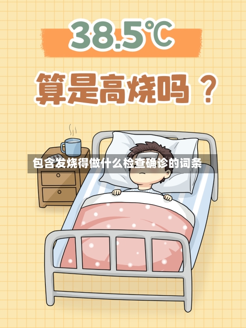 包含发烧得做什么检查确诊的词条-第2张图片