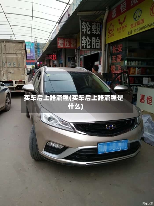 买车后上路流程(买车后上路流程是什么)