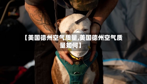 【美国德州空气质量,美国德州空气质量如何】