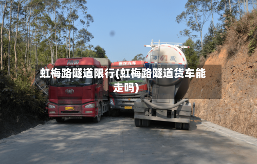 虹梅路隧道限行(虹梅路隧道货车能走吗)-第2张图片