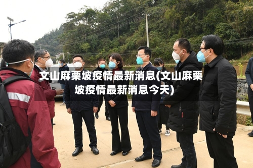 文山麻栗坡疫情最新消息(文山麻栗坡疫情最新消息今天)-第2张图片