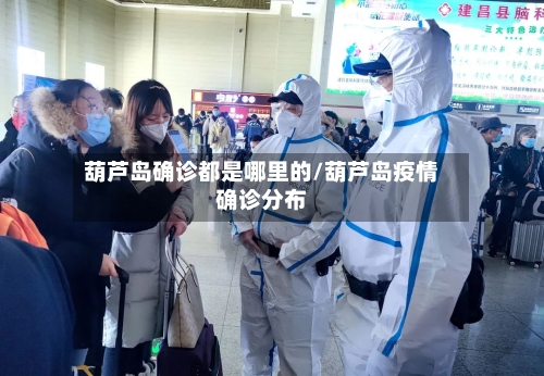 葫芦岛确诊都是哪里的/葫芦岛疫情确诊分布