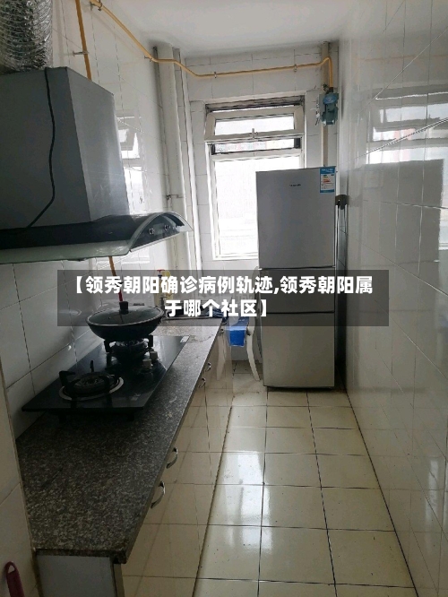 【领秀朝阳确诊病例轨迹,领秀朝阳属于哪个社区】-第3张图片