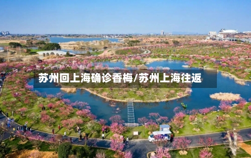 苏州回上海确诊香梅/苏州上海往返-第3张图片
