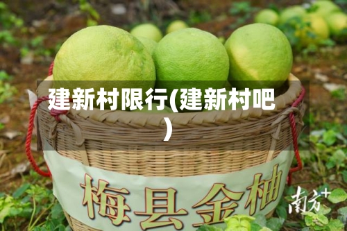 建新村限行(建新村吧)-第2张图片