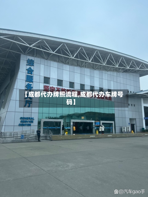 【成都代办牌照流程,成都代办车牌号码】-第2张图片