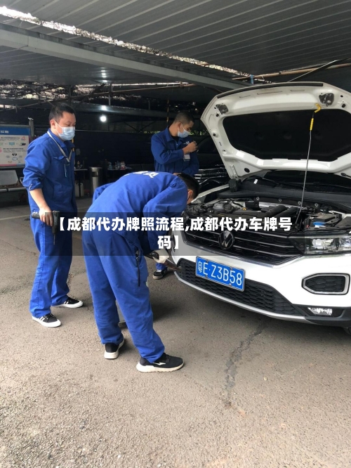 【成都代办牌照流程,成都代办车牌号码】