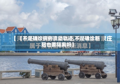 【不是确诊病例流动轨迹,不是确诊新冠也要隔离吗】-第3张图片