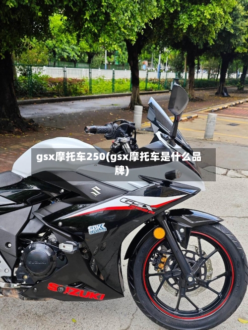 gsx摩托车250(gsx摩托车是什么品牌)-第2张图片