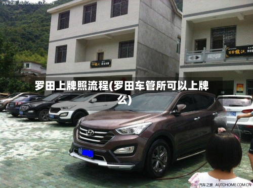 罗田上牌照流程(罗田车管所可以上牌么)