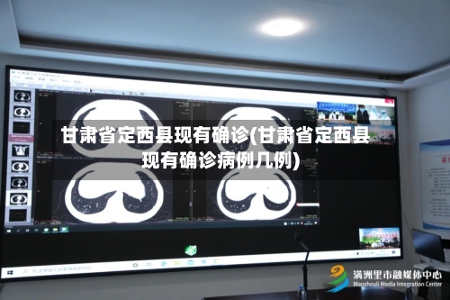 甘肃省定西县现有确诊(甘肃省定西县现有确诊病例几例)-第2张图片