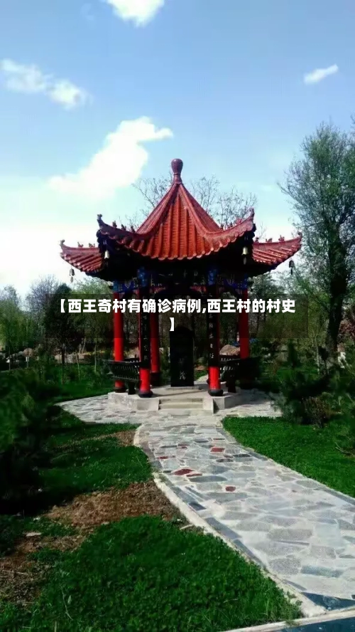 【西王奇村有确诊病例,西王村的村史】-第2张图片