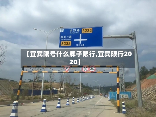 【宜宾限号什么牌子限行,宜宾限行2020】-第2张图片