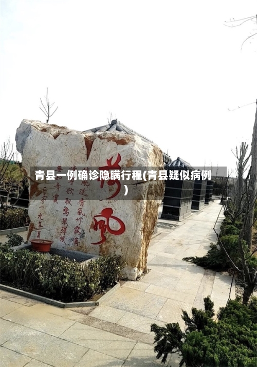 青县一例确诊隐瞒行程(青县疑似病例)-第2张图片