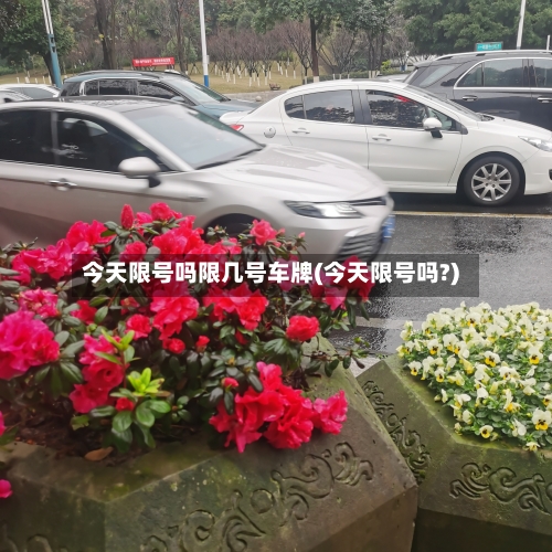 今天限号吗限几号车牌(今天限号吗?)-第3张图片