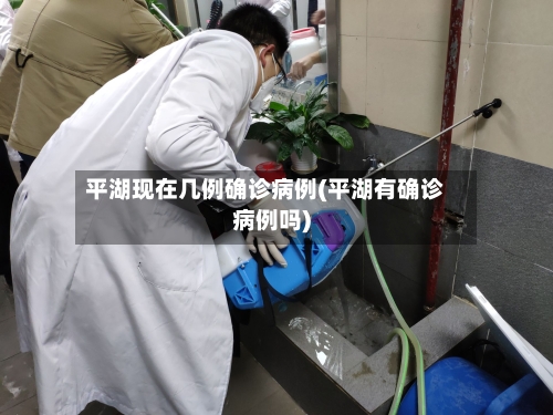 平湖现在几例确诊病例(平湖有确诊病例吗)-第2张图片