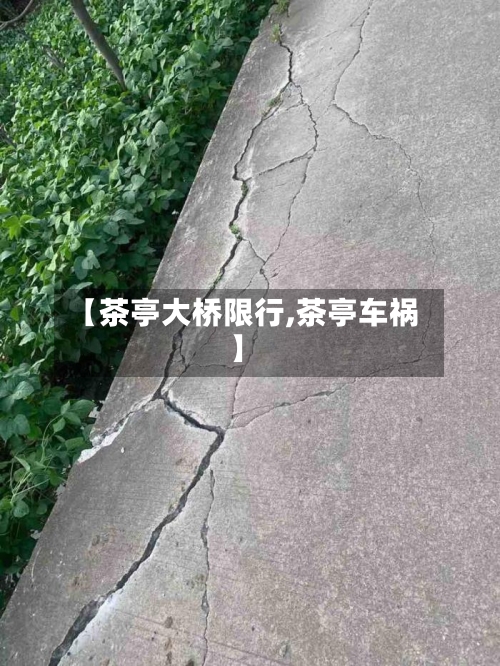 【茶亭大桥限行,茶亭车祸】
