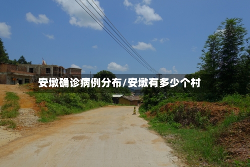 安墩确诊病例分布/安墩有多少个村-第2张图片