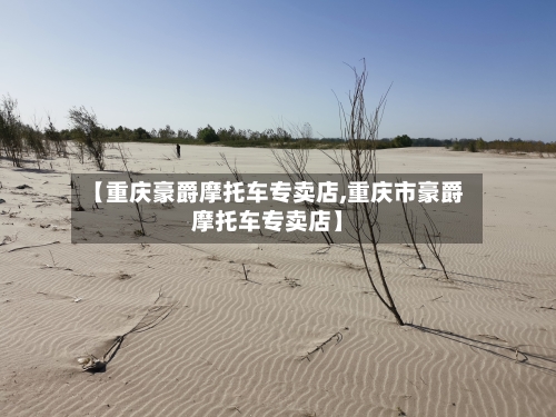 【重庆豪爵摩托车专卖店,重庆市豪爵摩托车专卖店】-第2张图片