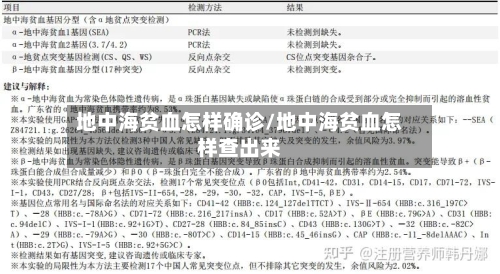 地中海贫血怎样确诊/地中海贫血怎样查出来