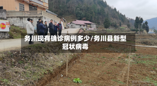 务川现有确诊病例多少/务川县新型冠状病毒-第3张图片