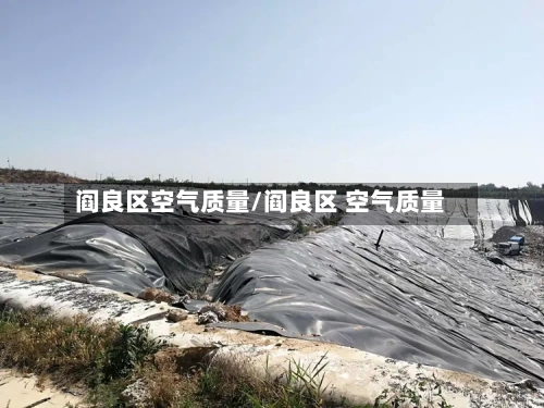 阎良区空气质量/阎良区 空气质量
