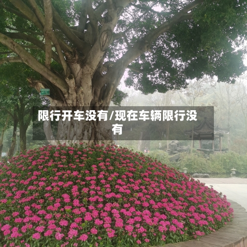 限行开车没有/现在车辆限行没有