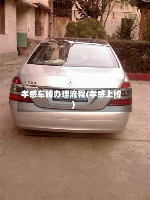 孝感车牌办理流程(孝感上牌)