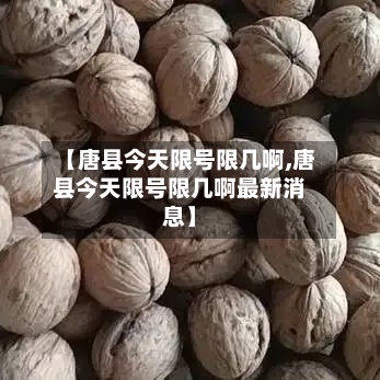 【唐县今天限号限几啊,唐县今天限号限几啊最新消息】-第2张图片