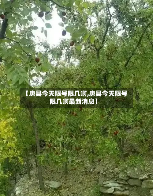 【唐县今天限号限几啊,唐县今天限号限几啊最新消息】