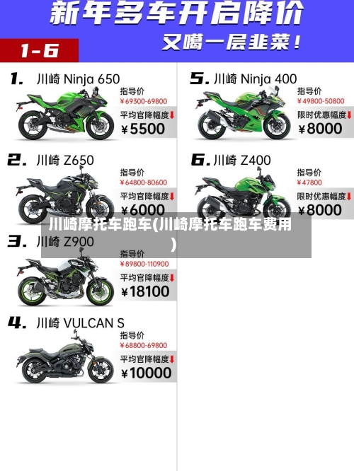 川崎摩托车跑车(川崎摩托车跑车费用)-第2张图片