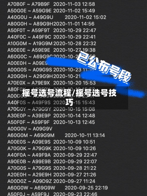 摇号选号流程/摇号选号技巧