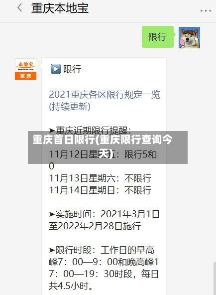 重庆首日限行(重庆限行查询今天)-第2张图片