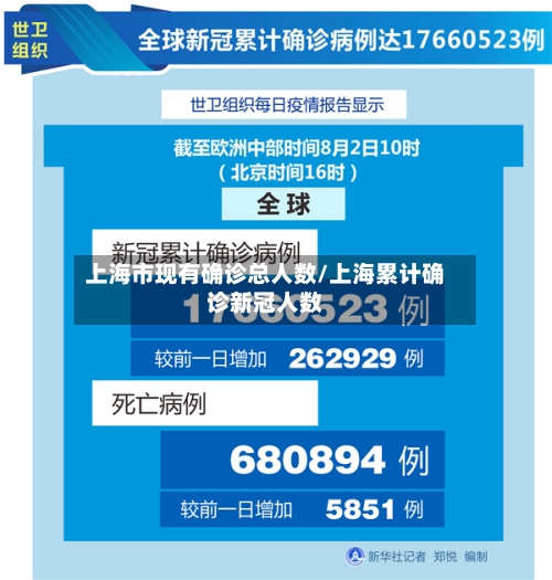 上海市现有确诊总人数/上海累计确诊新冠人数-第3张图片