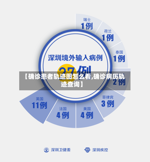 【确诊患者轨迹图怎么看,确诊病历轨迹查询】