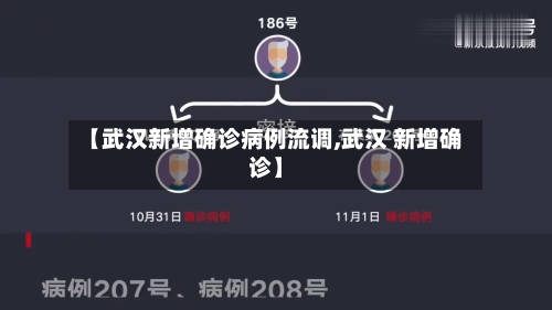 【武汉新增确诊病例流调,武汉 新增确诊】