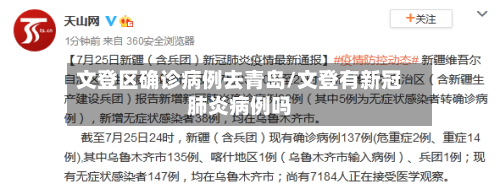 文登区确诊病例去青岛/文登有新冠肺炎病例吗-第3张图片