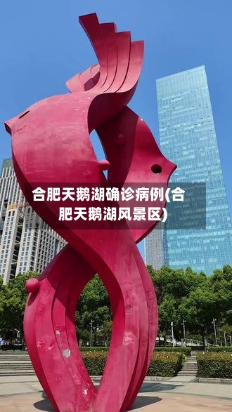 合肥天鹅湖确诊病例(合肥天鹅湖风景区)-第2张图片