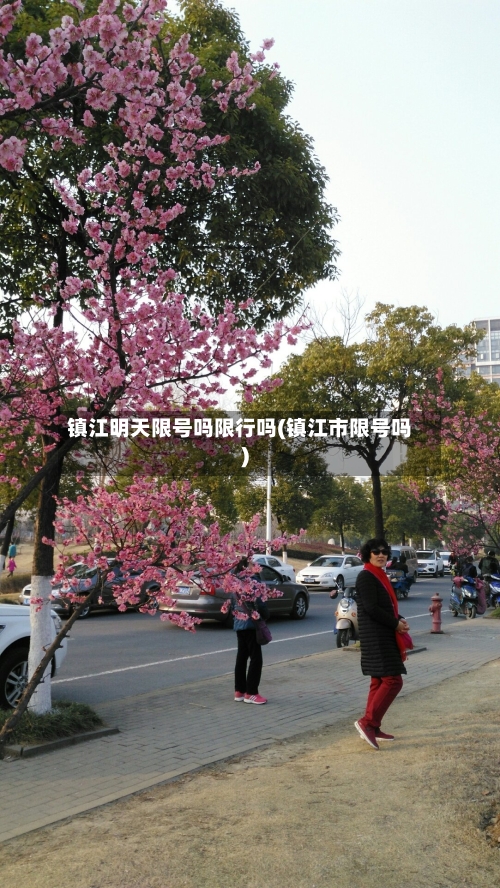 镇江明天限号吗限行吗(镇江市限号吗)-第2张图片