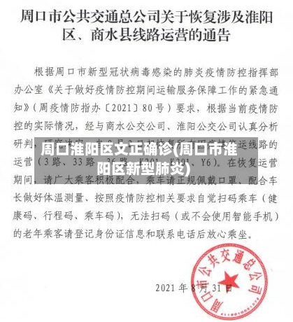 周口淮阳区文正确诊(周口市淮阳区新型肺炎)-第2张图片