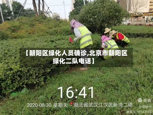 【朝阳区绿化人员确诊,北京市朝阳区绿化二队电话】