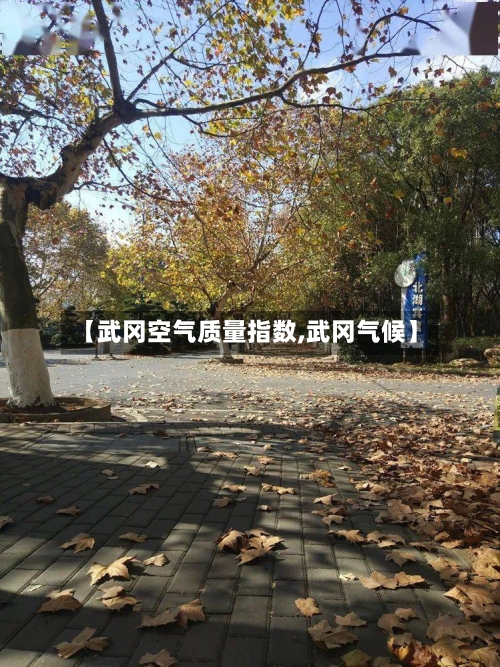 【武冈空气质量指数,武冈气候】