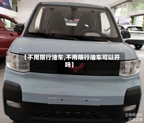 【不用限行油车,不用限行油车可以开吗】-第2张图片