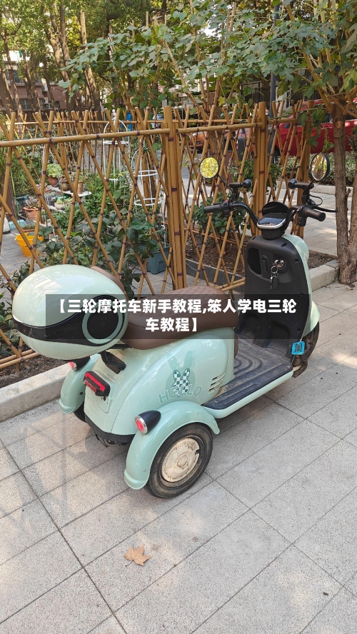 【三轮摩托车新手教程,笨人学电三轮车教程】-第2张图片