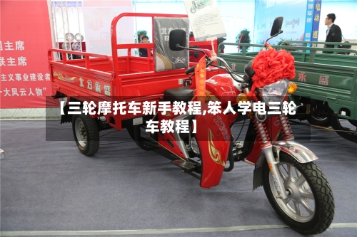 【三轮摩托车新手教程,笨人学电三轮车教程】