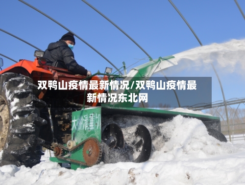 双鸭山疫情最新情况/双鸭山疫情最新情况东北网-第3张图片